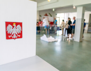 Miniatura: Czy koalicja Tuska zasługuje na drugą...