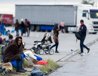 Miniatura: Reporter TVP zatrzymany przez węgierską...