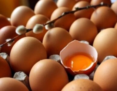 Miniatura: Jaja tanieją. Przemysłowe