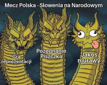 Mem po meczu Polski ze Słowenią 