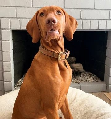 Sophie 