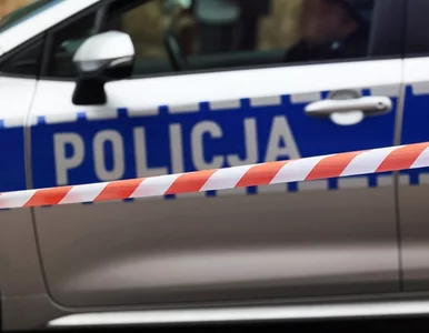 Miniatura: Wysiadła z auta na trasie S3, aby zabrać...