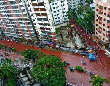 Miniatura: "Krwawa rzeka" na ulicach stolicy. Winna...