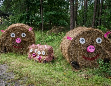 Miniatura: Poranny QUIZ z wiedzy ogólnej. 10 haseł...