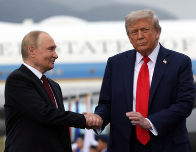 Miniatura: Donbas w zamian za pokój. Trump popiera...