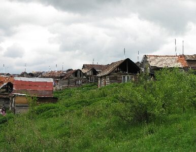 Miniatura: Węgierski nacjonalista będzie rządził...