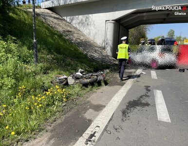 Miniatura: Słynny polski onkolog zginął w wypadku...