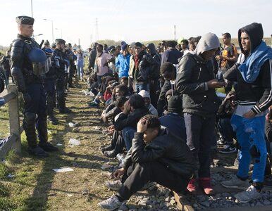 Miniatura: Migranci ułożyli barykadę na drodze w...