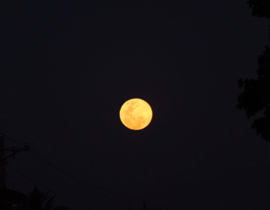 Pełnia Różowego Księżyca. Kiedy warto patrzeć w niebo?