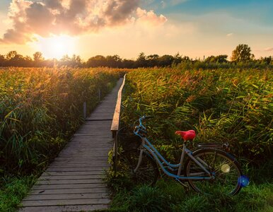 Miniatura: Fioletowe pola, jezioro i przysmaki. Nowa...