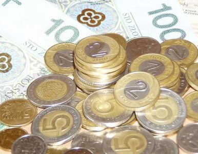 Miniatura: Rostowski przekaże 500 milionów złotych na...