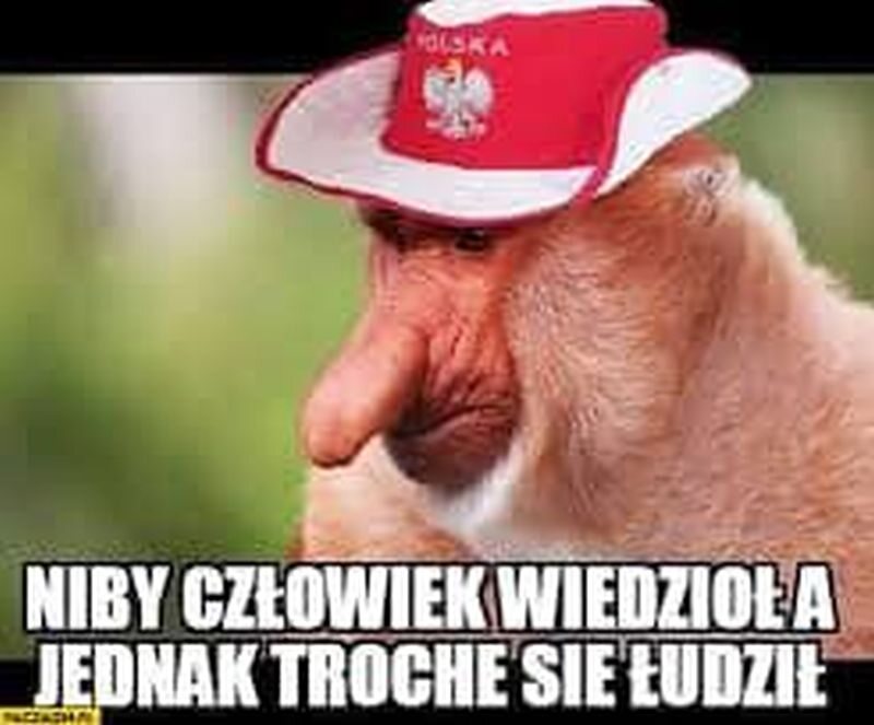 Mem po meczu Piasta Gliwice z BATE Borysów 
