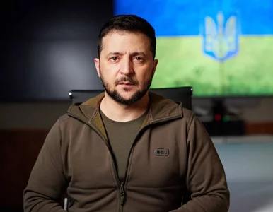 Miniatura: Polar Zełeńskiego mógłby być hitem...