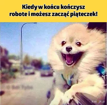 Praca, praca i jeszcze raz praca. Internauci tworzą MEMY 