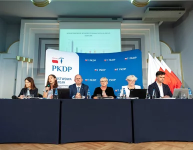 Miniatura: Członkinie komisji ds. pedofilii stosowały...