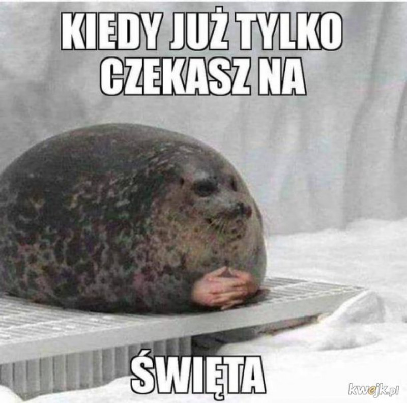 Świąteczny mem 