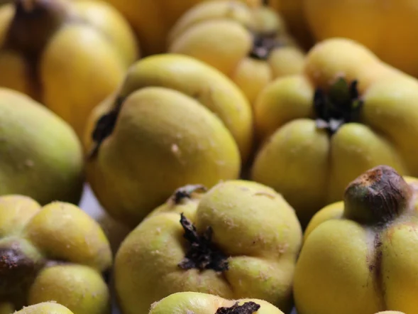 Miniatura: Cytryna może się schować. W listopadzie...