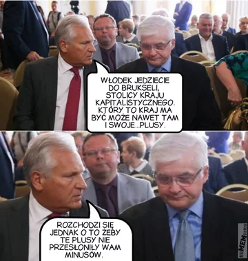 Mem po wyborach do PE 
