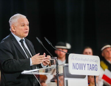 Miniatura: Kaczyński chce „armii” w komisjach...