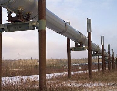 Miniatura: Włosi zaoszczędzą na imporcie gazu z Rosji