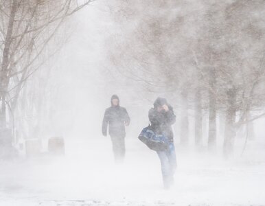 Miniatura: Nadciąga pogodowy armageddon....
