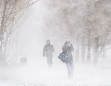 Miniatura: Mróz i śnieg uderzą w Polskę. IMGW ma złe...