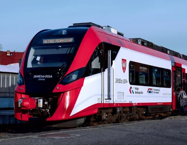 Miniatura: Katastrofa kolejowa w Wielkopolsce. Służby...