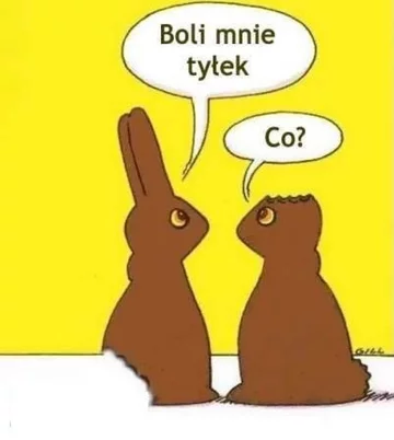Świąteteczne memy 