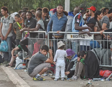 Miniatura: Węgrzy zabarykadowali Roszke. W życie...