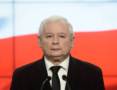 Miniatura: Nadpremier Kaczyński do tablicy