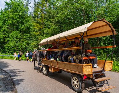 Miniatura: Morskie Oko zamknięte dla turystów. TPN...