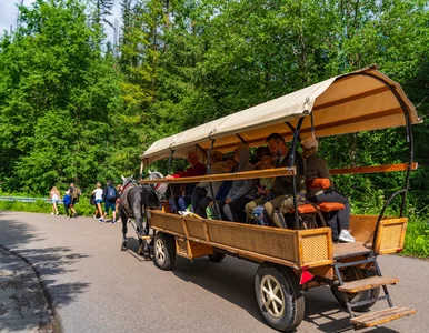 Miniatura: Popularna atrakcja zamknięta dla turystów....