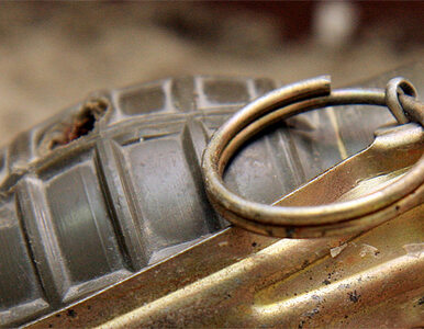 Miniatura: Nurkowie odkryli w rzece ponad 400 granatów