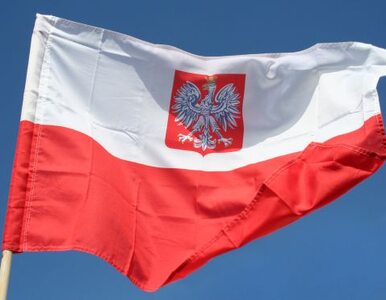 Miniatura: Polski konsul przyznał się do udziału w...