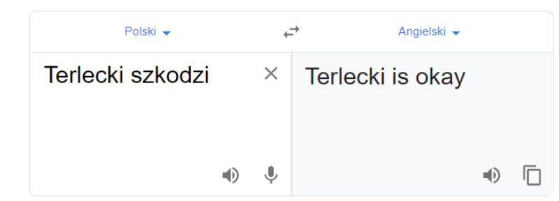 Tłumacz Google i fraza „Terlecki szkodzi” 