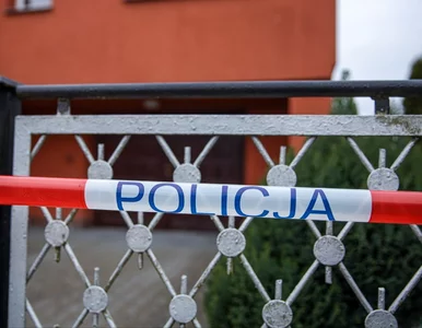 Miniatura: Morderstwa w Chodzieży. „To wygląda na...