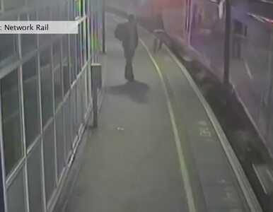 Miniatura: Pijany mężczyzna wpadł pod pociąg w...