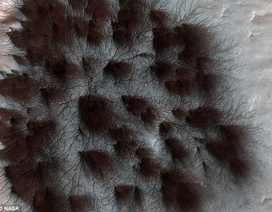 Miniatura: NASA publikuje niezwykłe zdjęcie Marsa