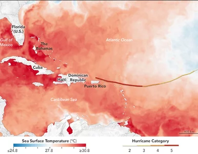 Miniatura: NASA pokazuje trasę huraganu Irma....