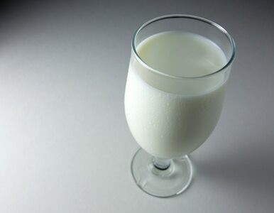 Miniatura: 4 mln euro Polska wyda na promocję mleka