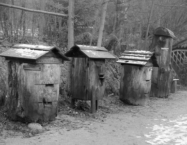 Miniatura: Pamiętasz stare zawody? W tym QUIZIE...