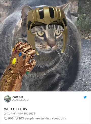 Buff cat jako Thanos z Avengersów 