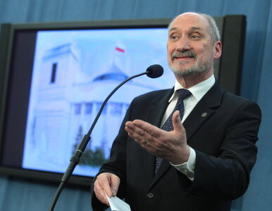 Miniatura: Macierewicz pyta Tuska: dlaczego pan kłamie?