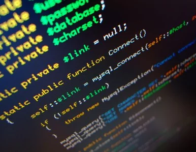 Miniatura: Włochy: "młode świstaki" kradły więc......