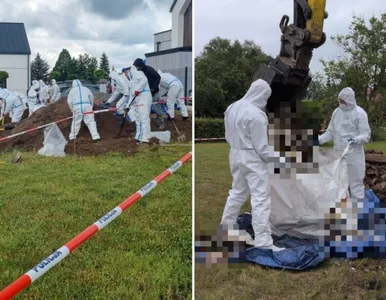 Miniatura: Nowe fakty po odkryciu płodów w Lutoryżu....