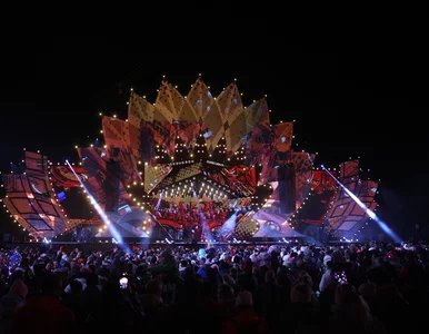 Miniatura: Zwierzęta w popłochu uciekały przed...