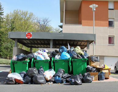 Miniatura: Koniec worków na bioodpady. Od 1 kwietnia...