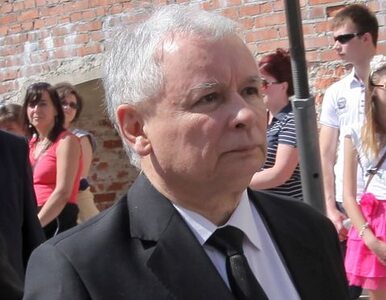 Miniatura: "Kaczyński zaprzeczył polityce brata. Nie...