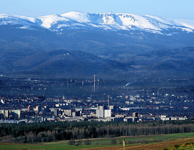 Miniatura: Szokujące informacje ws. zbrodni w...