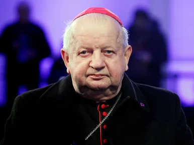 Miniatura: Komisja ds. pedofilii przesłucha kard....